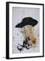 Music, Willie Nelson (drawing)-Ralph Steadman-Framed Giclee Print