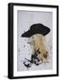 Music, Willie Nelson (drawing)-Ralph Steadman-Framed Giclee Print