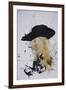 Music, Willie Nelson (drawing)-Ralph Steadman-Framed Giclee Print