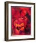 Musical Ambiance, 2009-Patricia Brintle-Framed Giclee Print