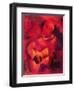 Musical Ambiance, 2009-Patricia Brintle-Framed Giclee Print