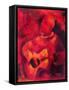 Musical Ambiance, 2009-Patricia Brintle-Framed Stretched Canvas