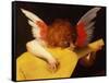 Musical Angel, 1521-Rosso Fiorentino-Framed Stretched Canvas