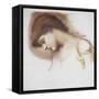 Musical Attendant, from Rose Bower Series-Edward Burne-Jones-Framed Stretched Canvas