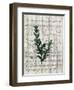 Musical Botanical 1-Kimberly Allen-Framed Art Print