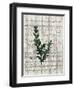 Musical Botanical 1-Kimberly Allen-Framed Art Print