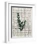 Musical Botanical 1-Kimberly Allen-Framed Art Print