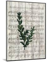 Musical Botanical 1-Kimberly Allen-Mounted Art Print