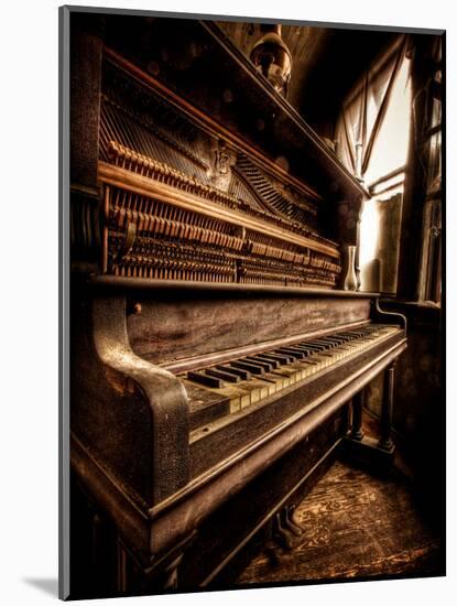 Musical Dreams-Stephen Arens-Mounted Photographic Print
