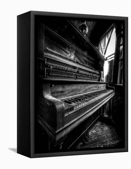 Musical Dreams-Stephen Arens-Framed Stretched Canvas