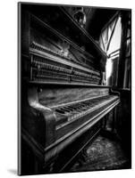 Musical Dreams-Stephen Arens-Mounted Photographic Print