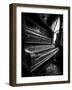 Musical Dreams-Stephen Arens-Framed Photographic Print