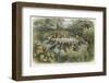 Musical Elf Teaches the Young Birds to Sing-Richard Doyle-Framed Photographic Print