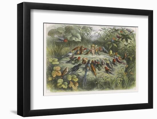 Musical Elf Teaches the Young Birds to Sing-Richard Doyle-Framed Photographic Print