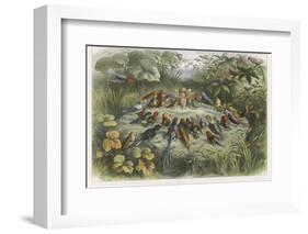 Musical Elf Teaches the Young Birds to Sing-Richard Doyle-Framed Photographic Print