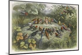 Musical Elf Teaches the Young Birds to Sing-Richard Doyle-Mounted Photographic Print