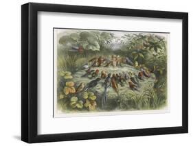 Musical Elf Teaches the Young Birds to Sing-Richard Doyle-Framed Premium Photographic Print