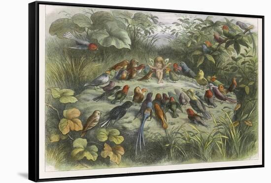 Musical Elf Teaches the Young Birds to Sing-Richard Doyle-Framed Stretched Canvas