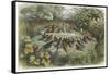 Musical Elf Teaches the Young Birds to Sing-Richard Doyle-Framed Stretched Canvas