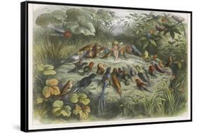 Musical Elf Teaches the Young Birds to Sing-Richard Doyle-Framed Stretched Canvas