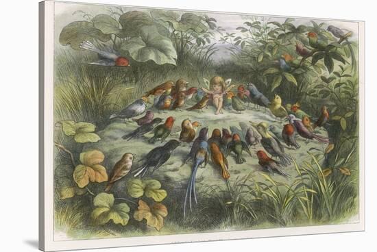 Musical Elf Teaches the Young Birds to Sing-Richard Doyle-Stretched Canvas