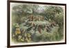 Musical Elf Teaches the Young Birds to Sing-Richard Doyle-Framed Photographic Print