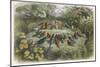 Musical Elf Teaches the Young Birds to Sing-Richard Doyle-Mounted Photographic Print