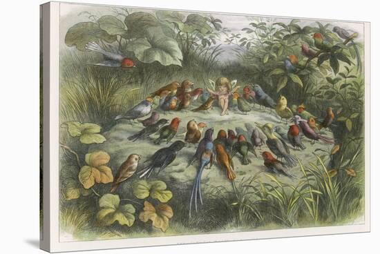 Musical Elf Teaches the Young Birds to Sing-Richard Doyle-Stretched Canvas