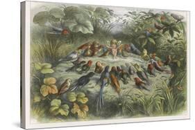 Musical Elf Teaches the Young Birds to Sing-Richard Doyle-Stretched Canvas