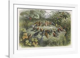 Musical Elf Teaches the Young Birds to Sing-Richard Doyle-Framed Photographic Print