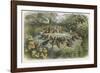 Musical Elf Teaches the Young Birds to Sing-Richard Doyle-Framed Photographic Print