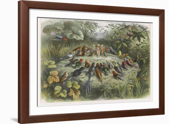 Musical Elf Teaches the Young Birds to Sing-Richard Doyle-Framed Photographic Print