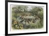 Musical Elf Teaches the Young Birds to Sing-Richard Doyle-Framed Photographic Print