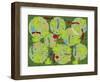 Musical Frog-Maria Trad-Framed Premium Giclee Print