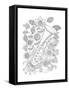 Musical Instrument Pattern 11-Neeti Goswami-Framed Stretched Canvas