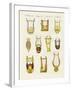 Musical Instruments of the Ancients -- Lyres and Zithers-null-Framed Giclee Print