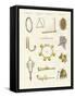 Musical Instruments of the Ancients -- Whistles, Rattles and Cymbals-null-Framed Stretched Canvas