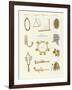 Musical Instruments of the Ancients -- Whistles, Rattles and Cymbals-null-Framed Giclee Print