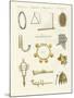 Musical Instruments of the Ancients -- Whistles, Rattles and Cymbals-null-Mounted Giclee Print