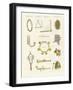 Musical Instruments of the Ancients -- Whistles, Rattles and Cymbals-null-Framed Giclee Print