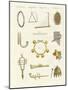 Musical Instruments of the Ancients -- Whistles, Rattles and Cymbals-null-Mounted Giclee Print