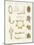 Musical Instruments of the Ancients -- Whistles, Rattles and Cymbals-null-Mounted Premium Giclee Print