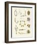 Musical Instruments of the Ancients -- Whistles, Rattles and Cymbals-null-Framed Giclee Print