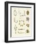 Musical Instruments of the Ancients -- Whistles, Rattles and Cymbals-null-Framed Giclee Print