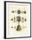 Musical Instruments of the Chinese-null-Framed Giclee Print