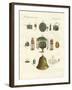 Musical Instruments of the Chinese-null-Framed Giclee Print