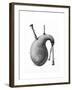 Musical Instruments: the Bagpipe-null-Framed Giclee Print