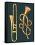 Musical Instruments: Trombone and Labyrinthine Trumpet-null-Framed Stretched Canvas