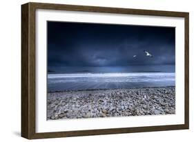 Musical Nature-Philippe Sainte-Laudy-Framed Photographic Print