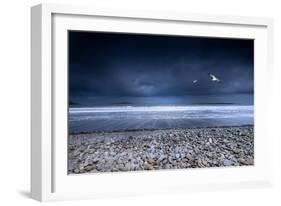 Musical Nature-Philippe Sainte-Laudy-Framed Photographic Print